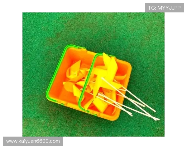 最佳娱乐活动：适合不同年龄段的趣味休闲项目盘点